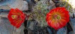 photo thumbnail #13