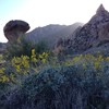 photo thumbnail #3