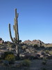 photo thumbnail #6