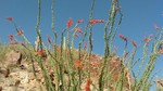 photo thumbnail #9