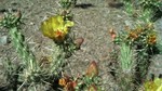 photo thumbnail #13