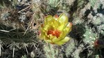 photo thumbnail #14