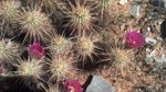 photo thumbnail #15