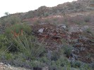 photo thumbnail #1
