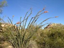 photo thumbnail #2
