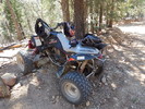 photo thumbnail #1
