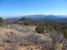 photo thumbnail #8