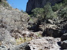 photo thumbnail #4