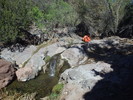 photo thumbnail #8