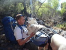 photo thumbnail #9