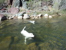 photo thumbnail #14