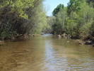 photo thumbnail #15