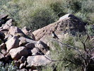 photo thumbnail #2