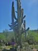 photo thumbnail #5