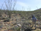 photo thumbnail #3