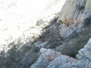 photo thumbnail #11