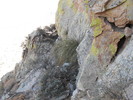 photo thumbnail #12
