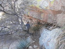 photo thumbnail #14