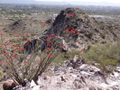 photo thumbnail #3
