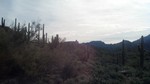 photo thumbnail #2