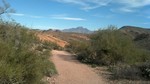 photo thumbnail #3