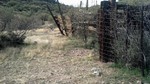 photo thumbnail #7