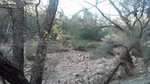photo thumbnail #15