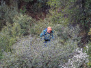 photo thumbnail #4