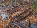 photo thumbnail #7