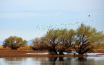 photo thumbnail #14
