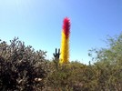 photo thumbnail #8
