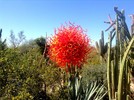 photo thumbnail #9