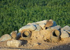 photo thumbnail #3