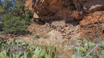 photo thumbnail #2