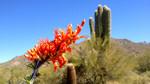photo thumbnail #4