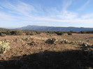 photo thumbnail #11