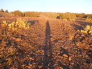 photo thumbnail #14
