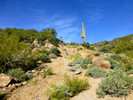 photo thumbnail #4