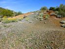 photo thumbnail #7