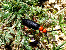photo thumbnail #14