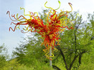 photo thumbnail #8