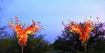 photo thumbnail #9