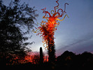 photo thumbnail #10