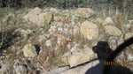 photo thumbnail #4