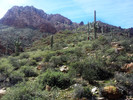 photo thumbnail #3