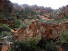 photo thumbnail #6