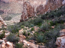 photo thumbnail #11