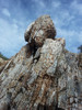 photo thumbnail #15