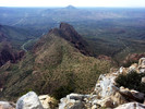 recent photo