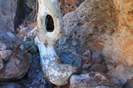 photo thumbnail #3